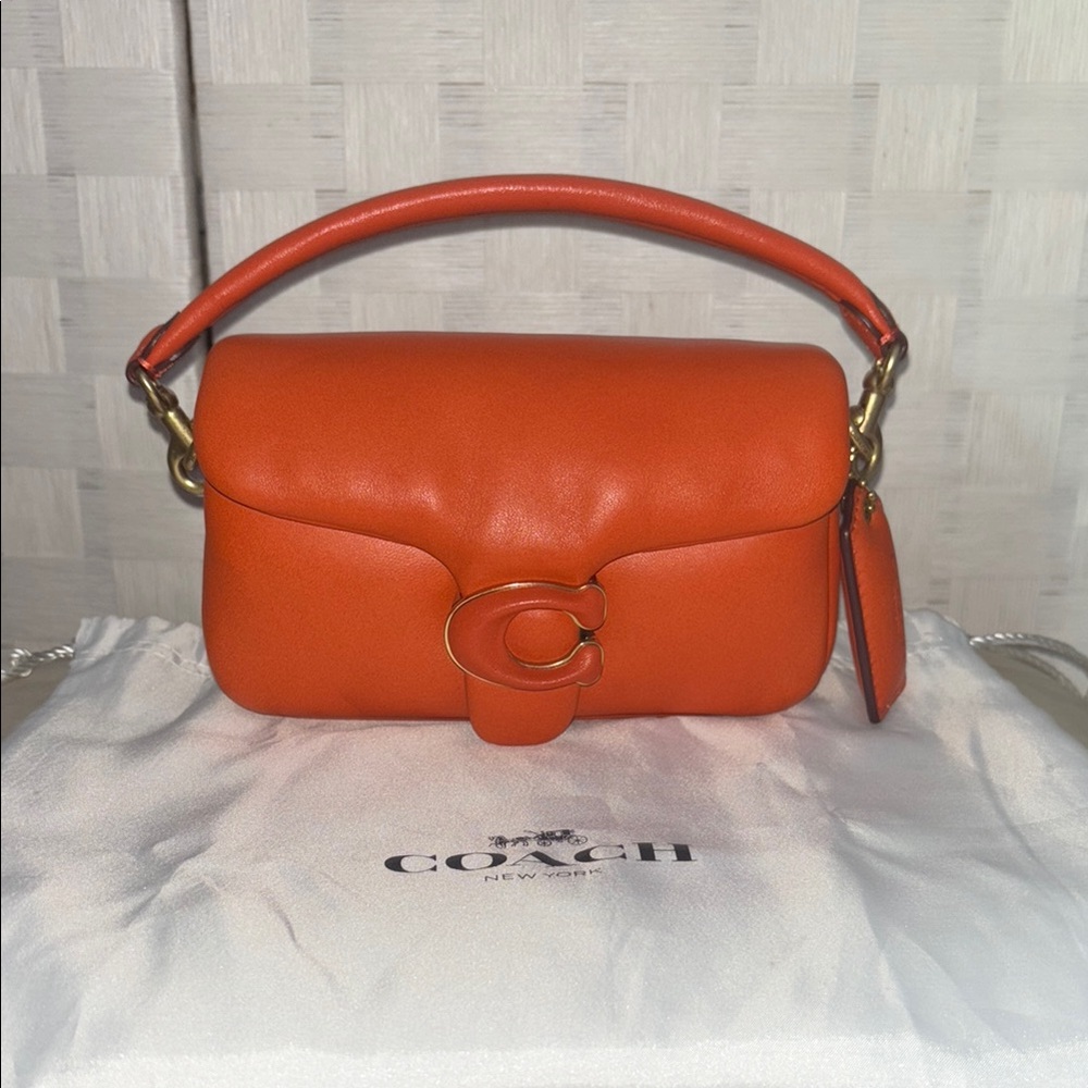 Coach Mini Pillow Tabby